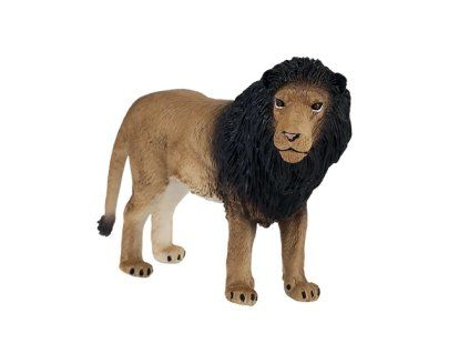 MJ381070 Lion H