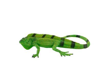 mojo leguan