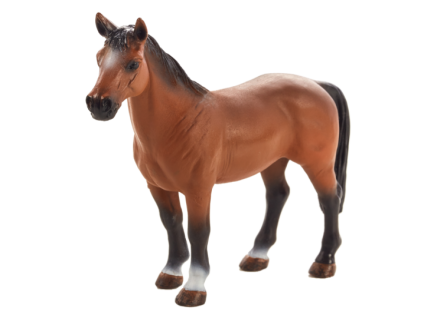 387350 Trakehner 508x540%20%281%29