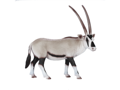 387242 Oryx 1 540x540
