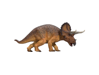 387364 Triceratops 1 540x540