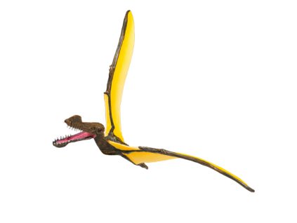 387375 Tropeognathus 1 540x540