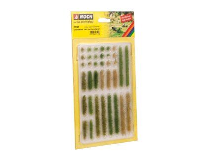 NCH07125 H
