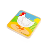 Lifecycle Puzzle Chicken 800x800%20%282%29