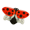 f69e4b731cad02 ladybird wings 3
