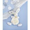 DC2121 1