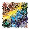 Puzzle Dúhové motýle 500 dielov