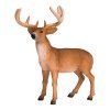 387038 5.animal