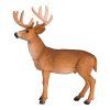387038 1.animal