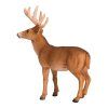 387038 2.animal