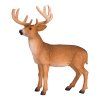 387038.animal