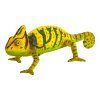 387129.animal