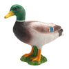 387127 Mallard Duck Male 1 540x540