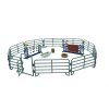 MJ380062 Jezdecky set 2