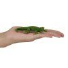 MJ381078 Gecko 3