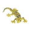 MJ381077 Leopard Gecko H