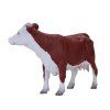 MJ381074 Hereford krava 2