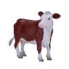 MJ381074 Hereford krava 1