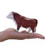 MJ381073 Hereford b%C3%BDk 3