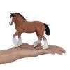 MJ381084 Clydesdale hnedy 3