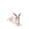 387142 Rabbit Lying 1 1 443x540