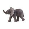 387002 slon.africky slune e1485440544197 540x399