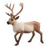 387186.animal