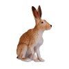 MJ381072 Hare zajic H