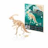 D6B parasaurolophus plaque et modele