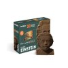 Kartónové 3D puzzle Albert Einstein