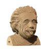 Kartónové 3D puzzle Albert Einstein