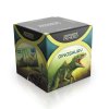 Vedomostné pexeso - Dinosaury