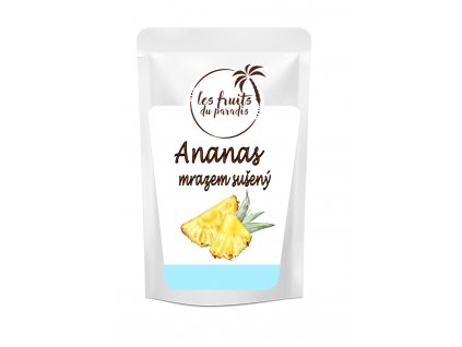 Ananas kousky lyofilizované 40g