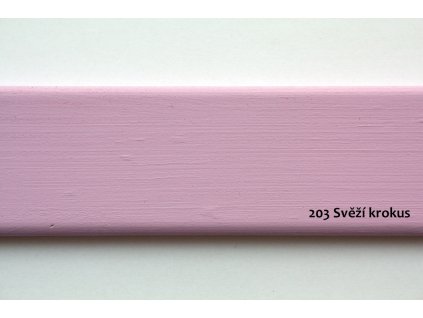 Svěží krokus Valioso