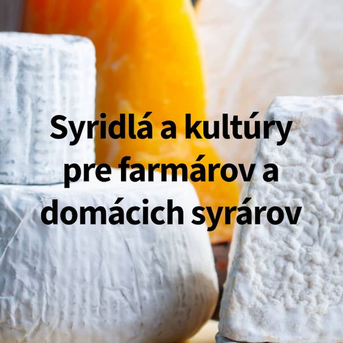 Výroba syrov