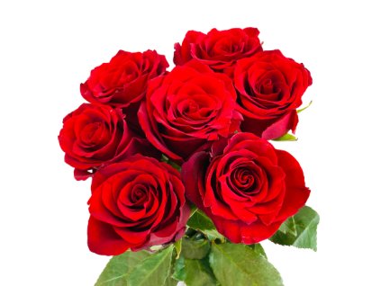 7 rudých růži převázaných lýkem