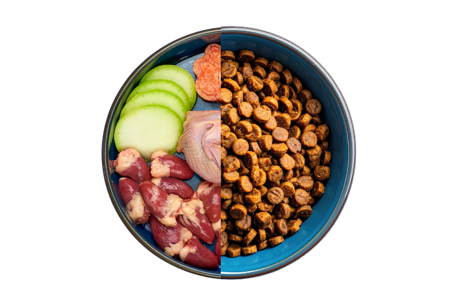 Krmíte raději masem nebo granulemi?