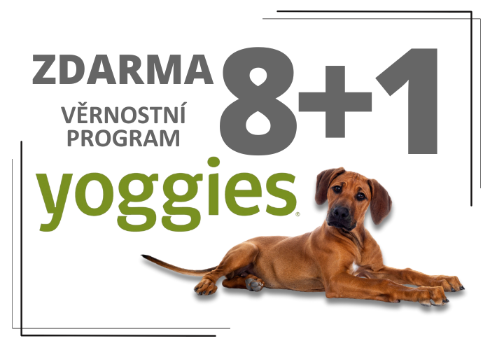 Věrnostní program Yoggies