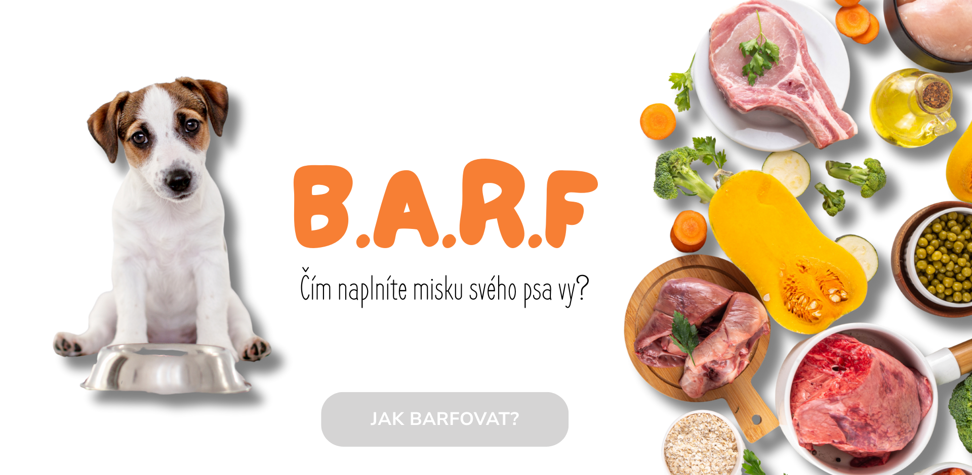 Barf - čím naplníte psí misku?