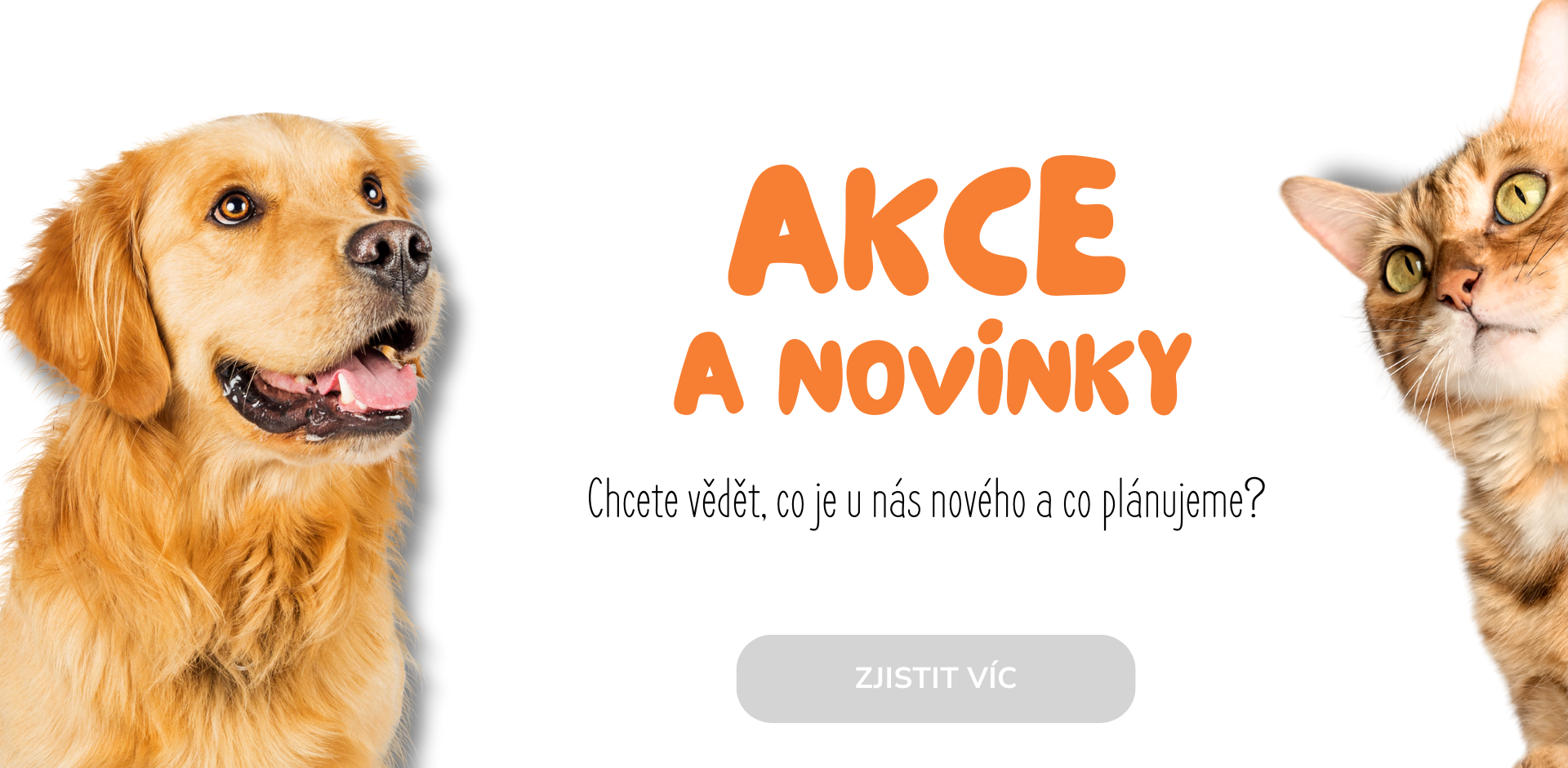 akce a novinky