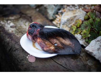 CF437BBF 62CB 4C34 A77D A113E5743F05