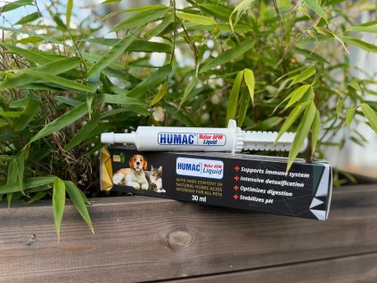 859a19ff 0b8c 4808 86c1 62883ee21bdc