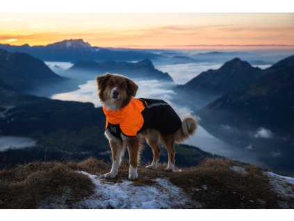 a71948bd380246b3b47f41181b835bb4482c74dd