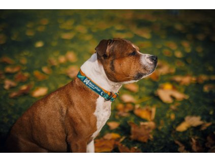 9b3608e4ea9c5d766402b1ca6d3502ccbd825eb8