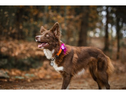 c960ce87404ed1784f400c7fa56617c8608fe461