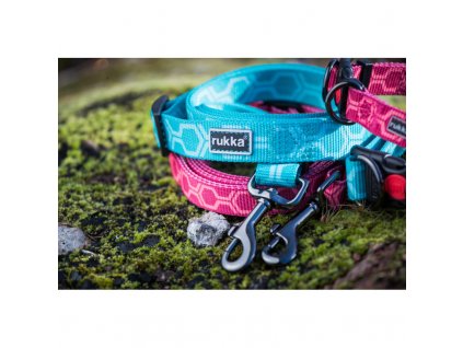 twist leash aruba 2