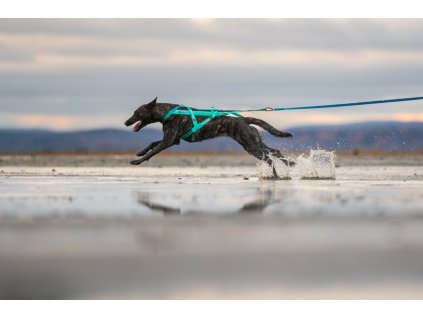 freemotion aqua69b01ca4d8b0e