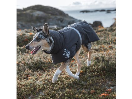 hurtta EW bunda velky 8