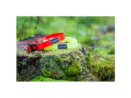 bliss neon adjustable collar yellow2