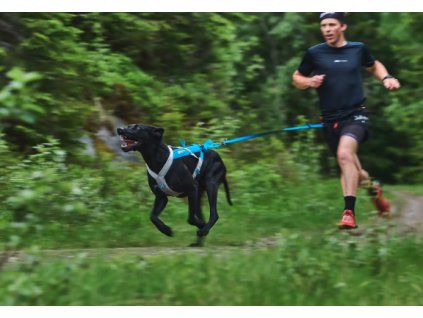 292e2ee13c51a63ddde1f51de14820fd5f03503e